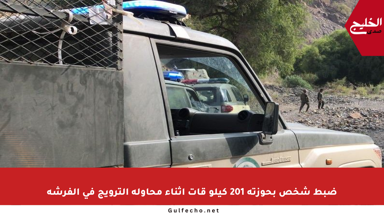 ضبط شخص بحوزته 201 كيلو قات أثناء محاولة الترويج في الفرشة